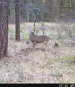 IMG_3578.jpeg