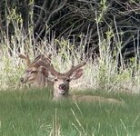IMG_4990.jpeg