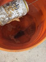 IMG_1679.jpeg