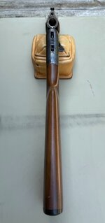 IMG_2826.jpeg