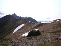 P7271153.JPG