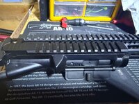IMG_2742.jpeg