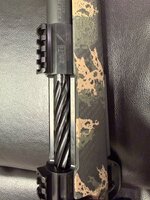 IMG_2154.jpeg
