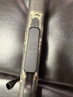IMG_2155.jpeg