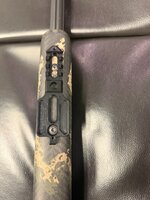 IMG_2156.jpeg