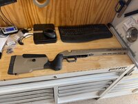IMG_1774.jpeg