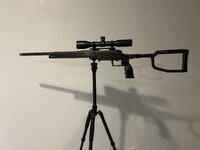 IMG_7920.jpeg