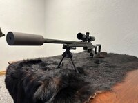 IMG_7924.jpeg