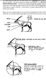 IMG_3142.jpeg