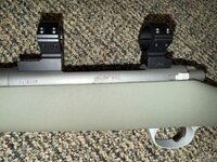 IMG_7855.jpeg