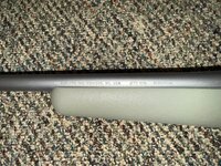 IMG_7856.jpeg