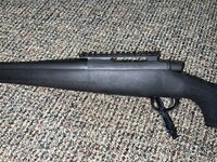 IMG_4027.jpeg