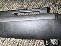 IMG_4029.jpeg