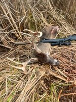 IMG_1520.jpeg