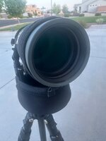 IMG_3522.jpeg