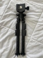 IMG_6851.jpeg