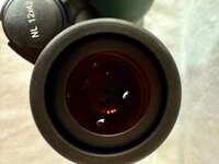 IMG_1581.jpeg