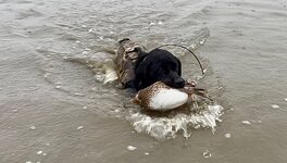 IMG_2724.jpeg