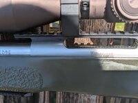 338 +p 4.jpg