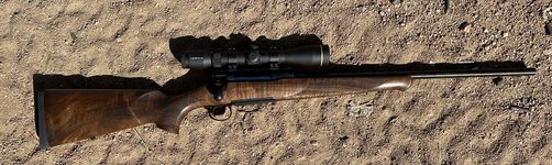 Sauer 100.jpeg