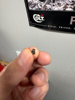 IMG_1033.jpeg