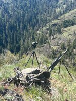 IMG_7915.jpeg