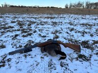 IMG_4171.jpeg