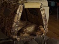 IMG_8468.jpeg