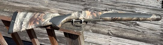 IMG_1530.jpeg