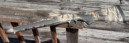 IMG_1531.jpeg