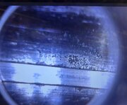IMG_0383.jpeg