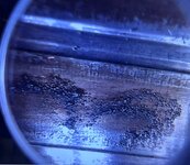 IMG_0381.jpeg
