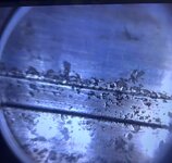 IMG_0379.jpeg