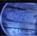 IMG_0375.jpeg