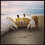 IMG_0701.jpeg