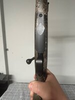 IMG_3605.jpeg
