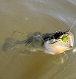 IMG_2030.jpeg