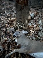 IMG_5675.jpeg