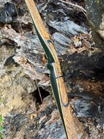 IMG_7529.jpeg