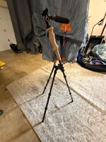IMG_5815.jpeg