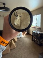 IMG_5005.jpeg