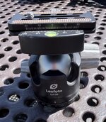 IMG_0795.jpeg