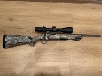 IMG_5719.jpeg