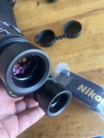 IMG_1464.jpeg