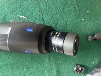 IMG_8771.jpeg