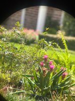 IMG_8778.jpeg
