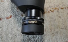 IMG_3181.jpeg