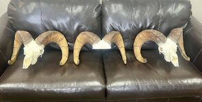 IMG_3853.jpeg