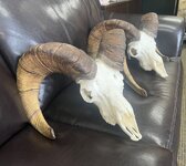 IMG_3861.jpeg