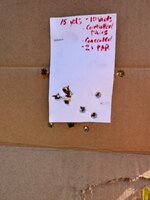 IMG_0957.jpeg